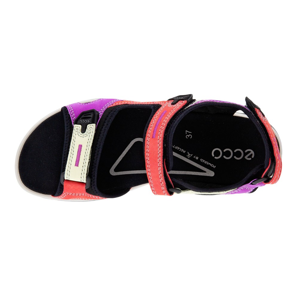 Womens Sandals - ECCO Offroad Flat - Multicolor - 9723CQKYE